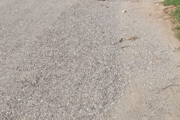 Shaheeda Turlandi Road UC Tarakai