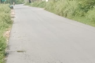 Yaqoobi To Sard Cheena Road UC Yaqoobi
