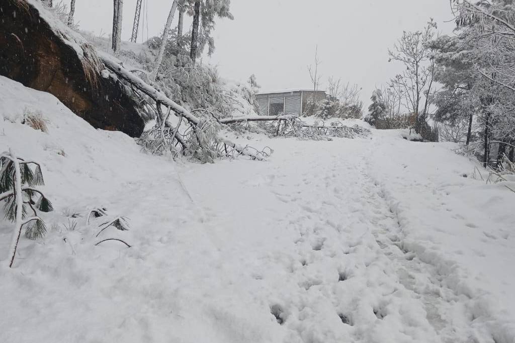 OGHI-JARGHALI-BATTAGRAM P-H/WAY (S-12-B)