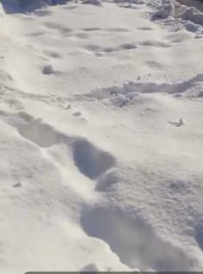 Jabbar top Malaya Road