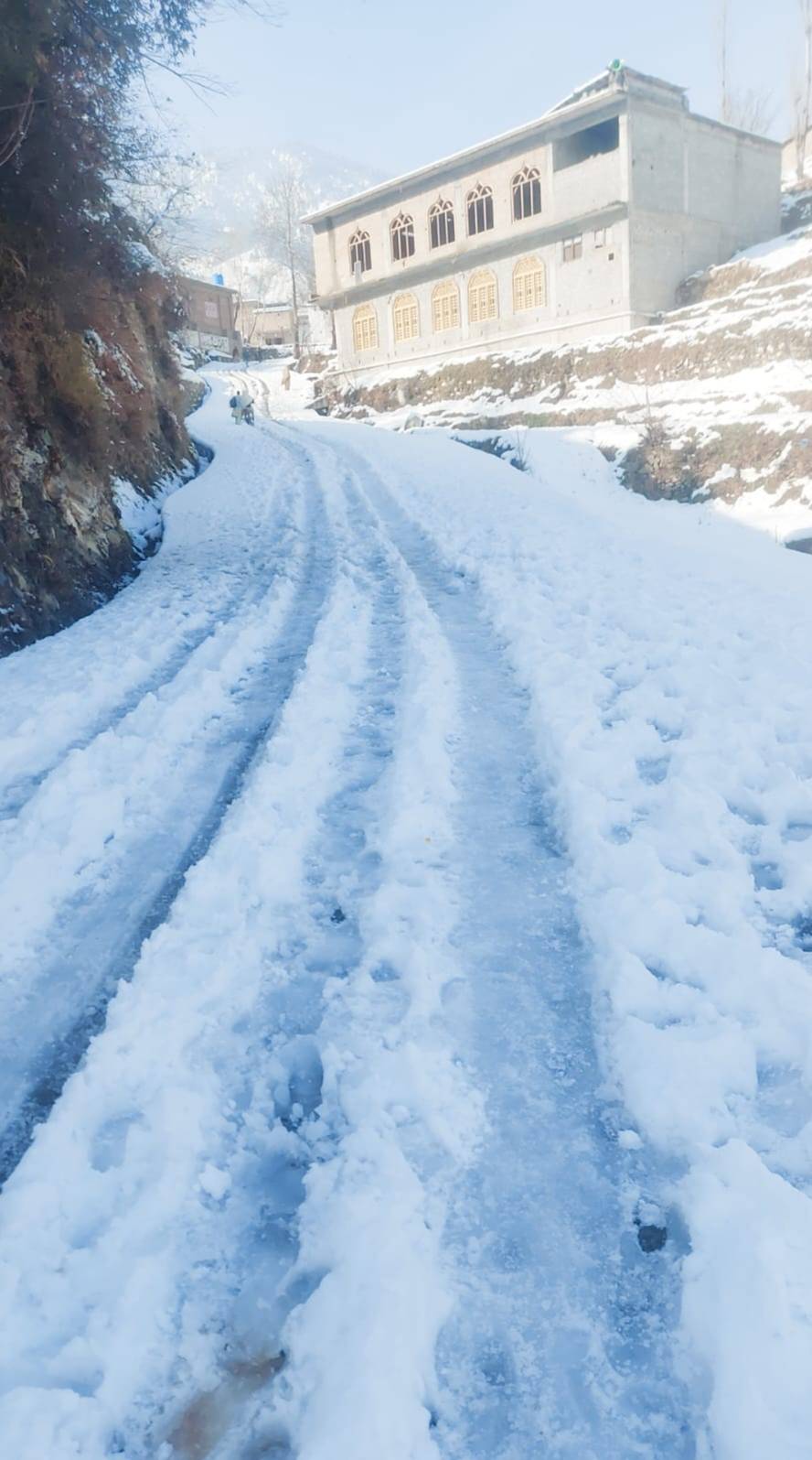 Penawrai ROAD shahderai