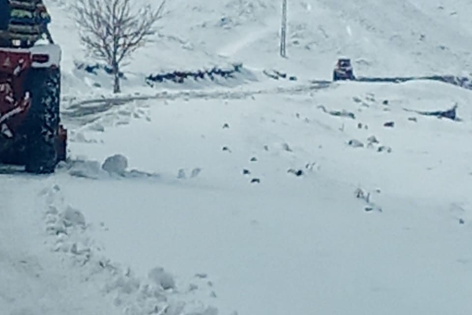 Main Sararogha Makin Shakai Road