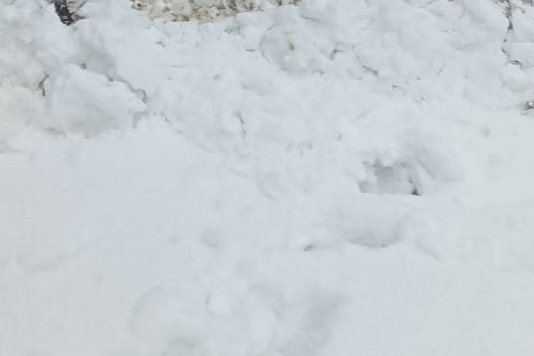 Mandomanzai Lajbook Road