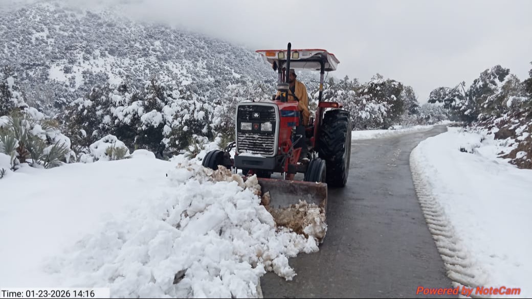 Shashoo to tora warai via chinarak