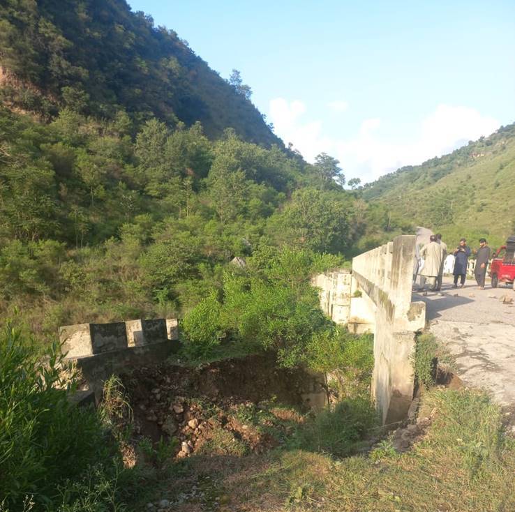 DANNA GOREENI BRIDGE