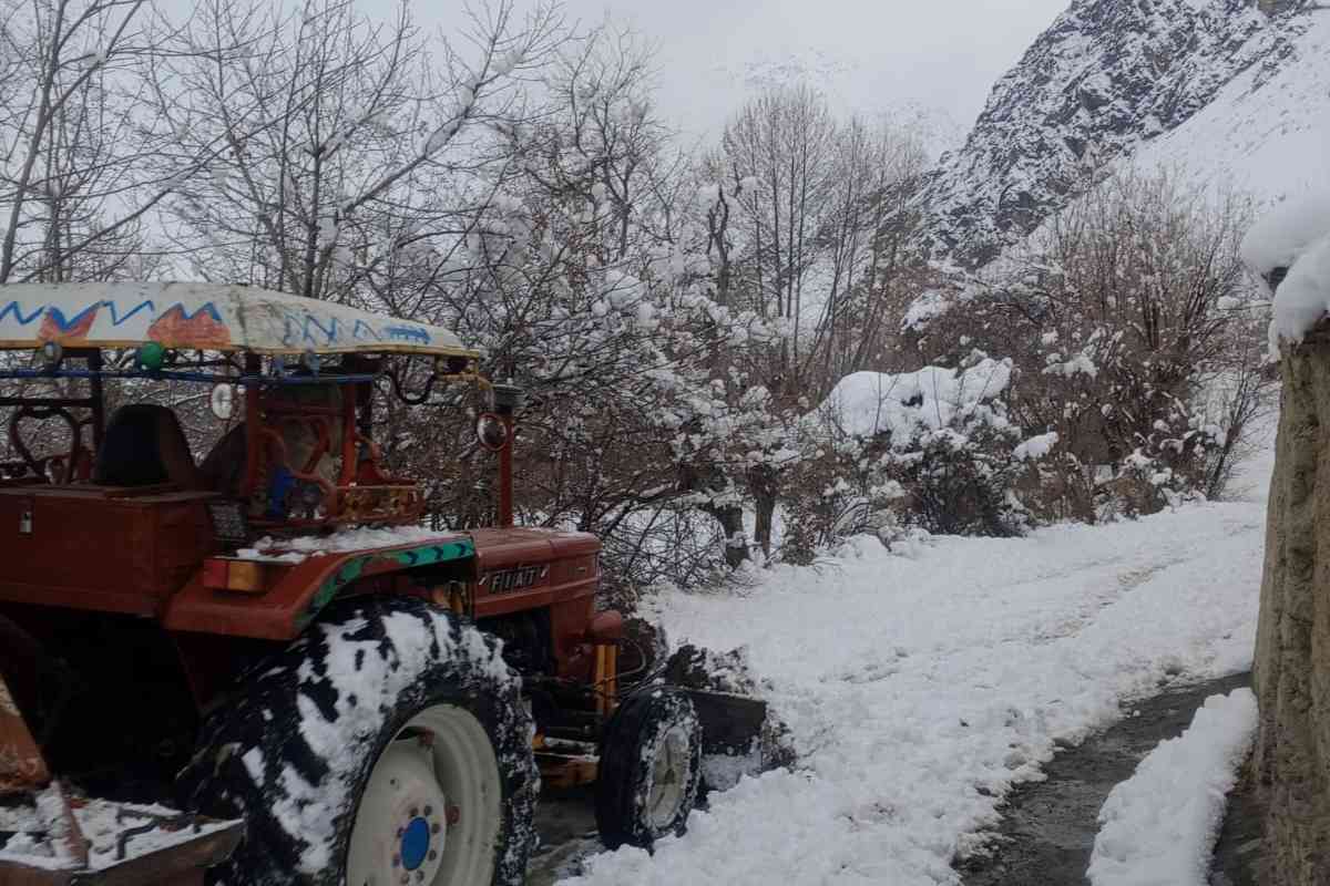 Governor Cottage Road