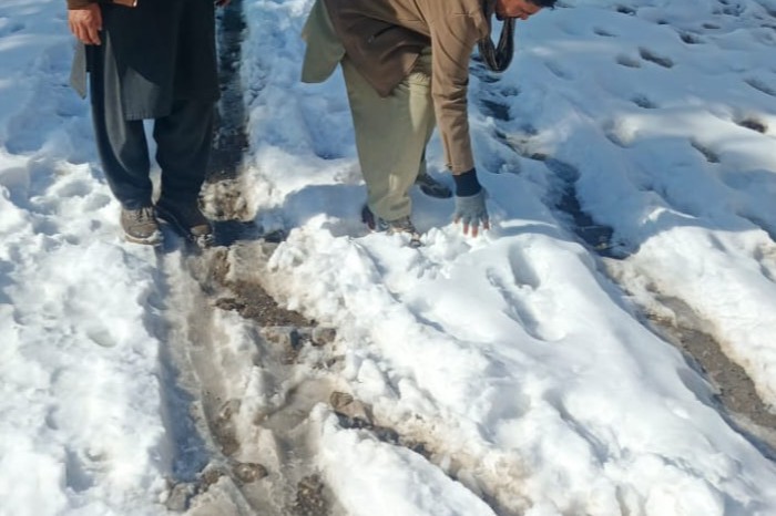 phandir road distt buner