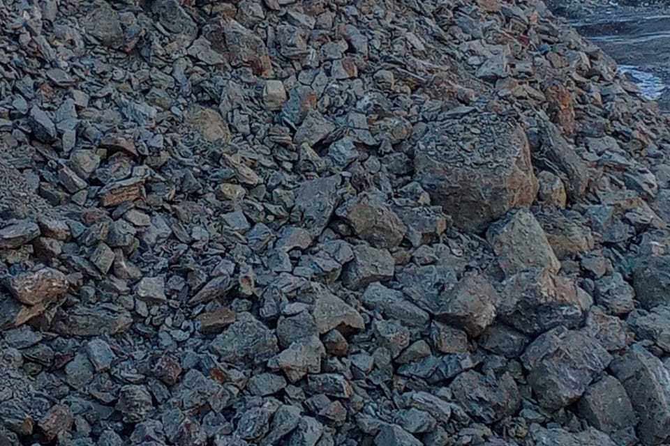 Sararogha Janata Road