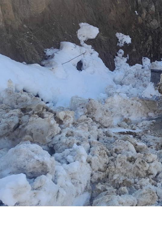 Speni oba To Tortoot