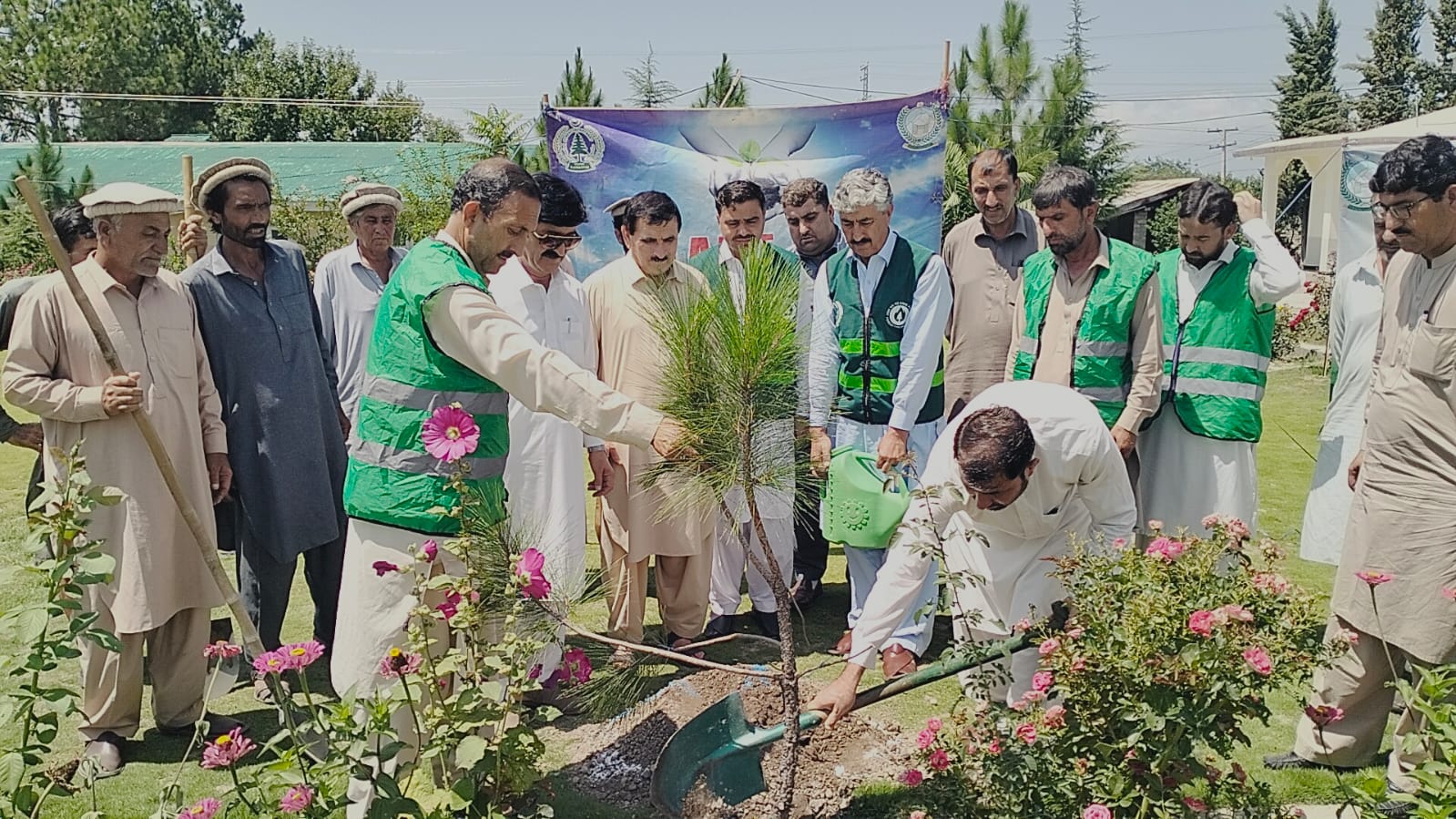 Monsoon plantation drive 2024